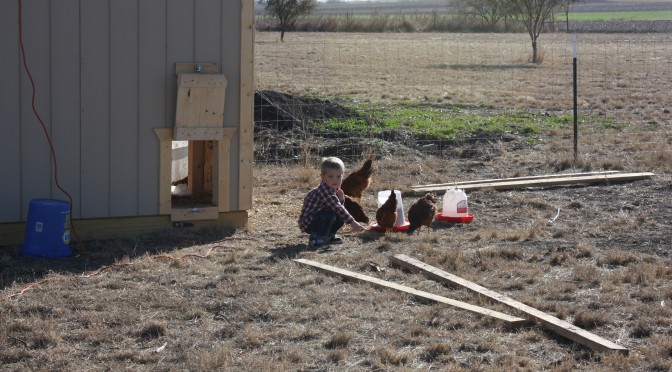 The Chicken Coop
