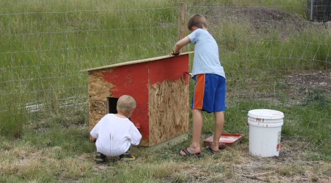A Doghouse for Mr Thornton