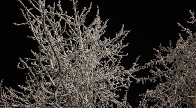 Crystal Cold